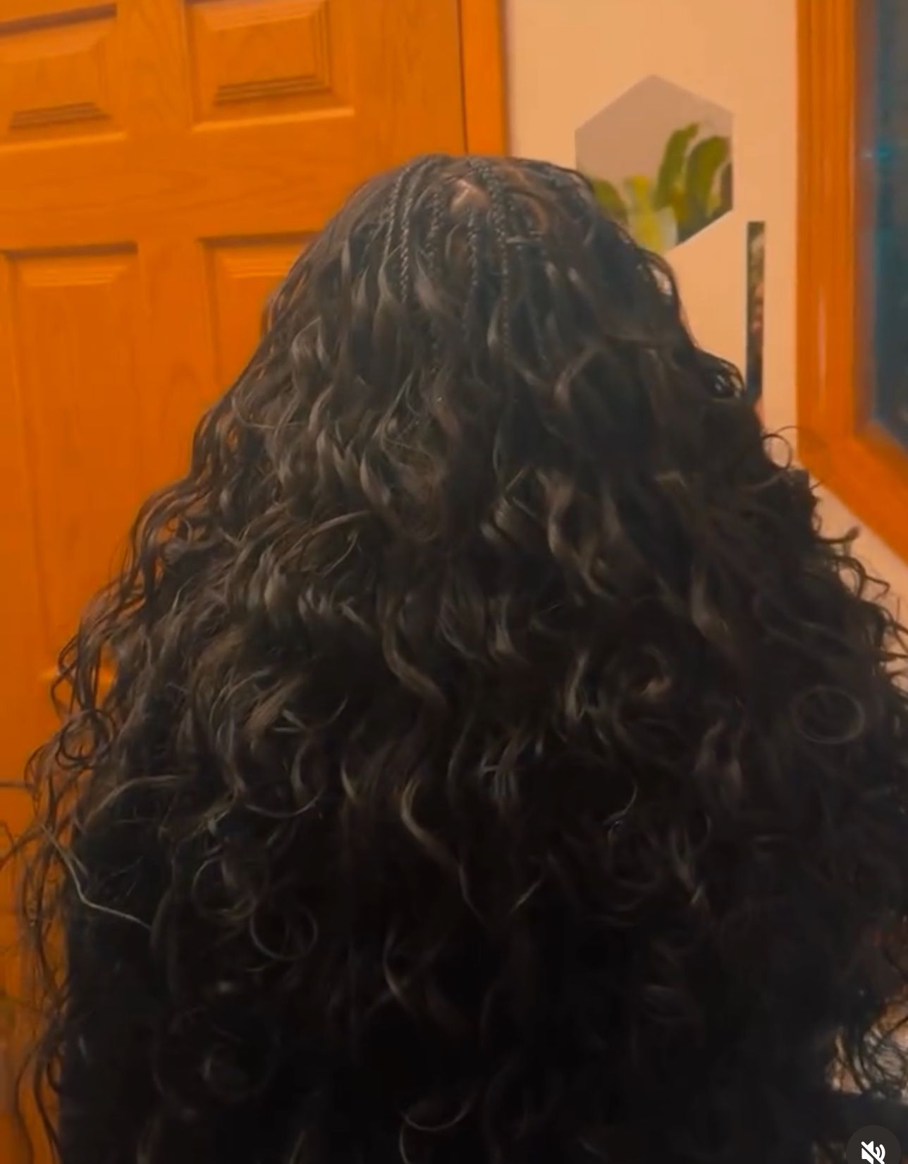 Home pic 1 hair from the back